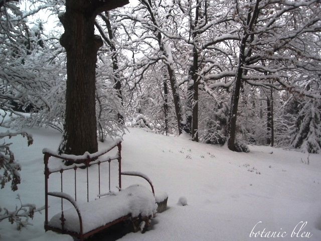 Dashing through the snow(flakes), Opinion