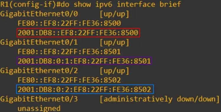 show ipv6 interface brief