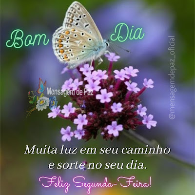 Muita luz em seu caminho e sorte no seu dia. Feliz Segunda-Feira! Bom Dia!