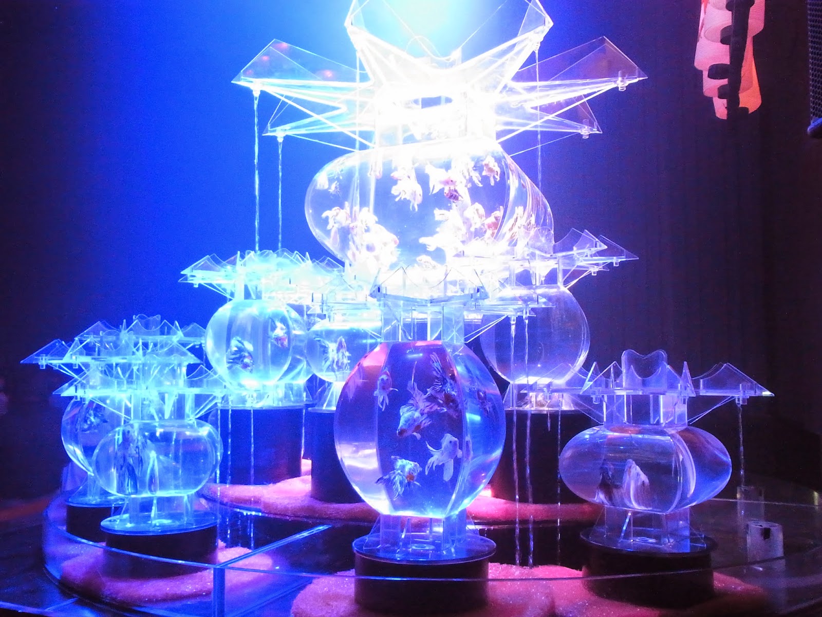 まるで異世界 水中金魚アートは幻想感がハンパなかった Jptrp Com
