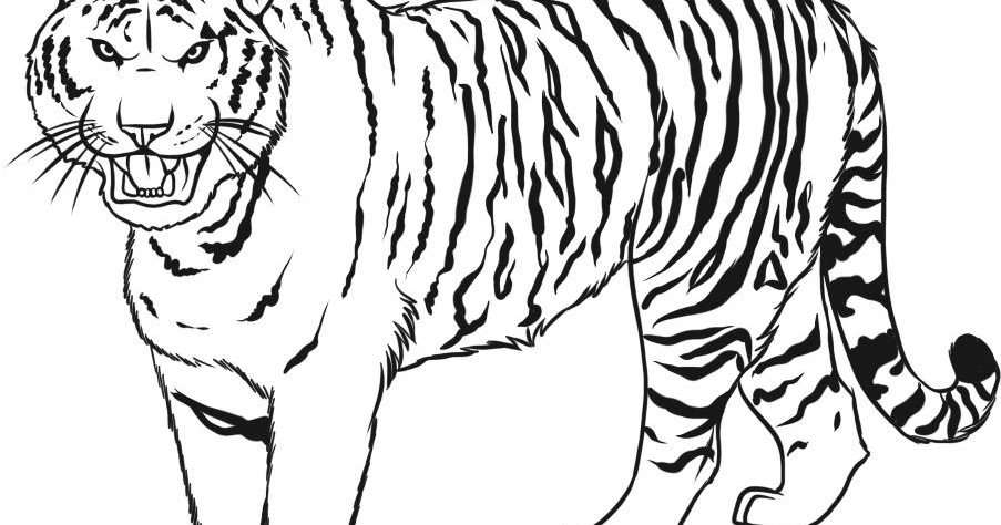 Gambar Mewarnai Gambar Harimau Untuk Anak