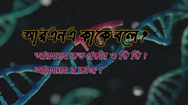 আরএনএ কাকে বলে
