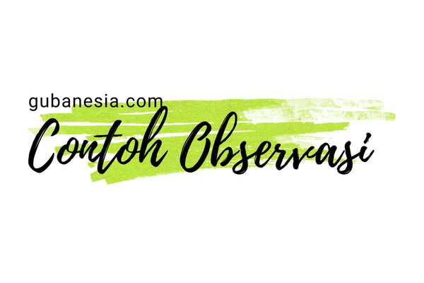 Contoh Teks Observasi tentang Kucing