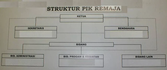 Struktur Organisasi PIK-R Tugasnya