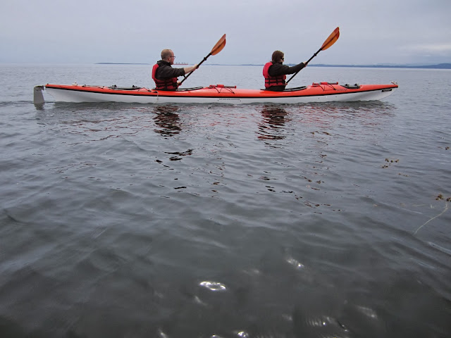 couple kayaking san juan orcas