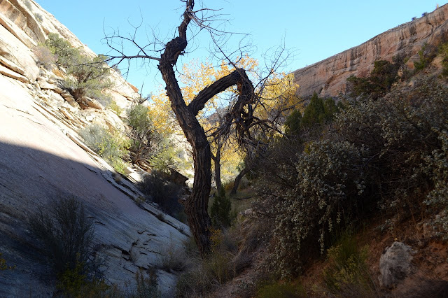 V shaped canyon with rock on one side, dirt on the other, and plants growing from both