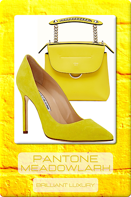 ♦Pantone Fashion Color Meadowlark