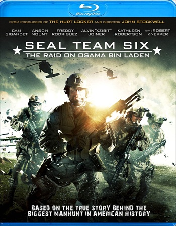 Seal Team Six The Raid On Osama Bin Laden 2012 Dual Audio Hindi Full HD Movie