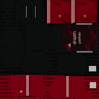 Feyenoord Rotterdam 20/21, DLS Kit 2020