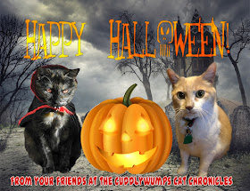 Happy Halloween from your friends at The Cuddlywumps Cat Chronicles