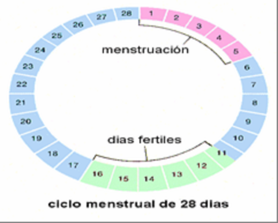 consejos para salir embarazada de niña