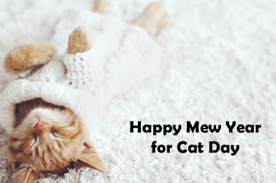 Happy Mew Year for Cat Day Messages