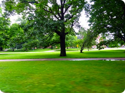 Michigan State University.
