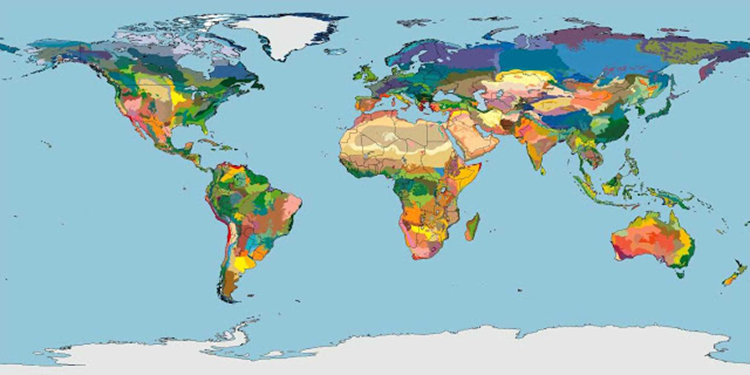 Mapa de ecoregiones.