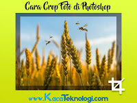 Cara Crop Sesuai Bentuk Di Photoshop