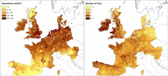 Mapa  Destitución de las Lombrices En Europa