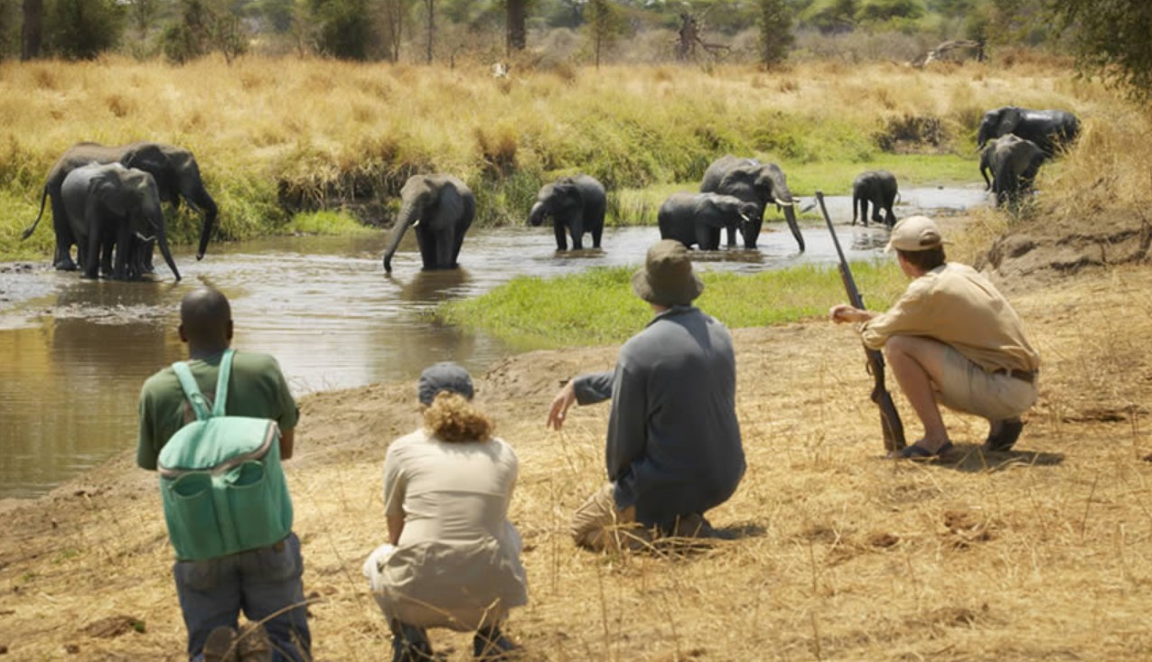 Birthplace of The Walking Safari