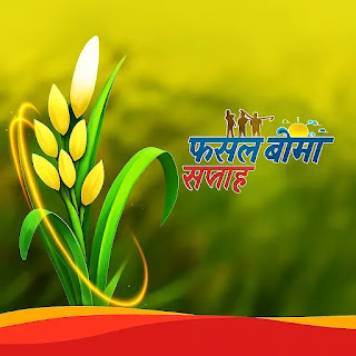 इमेज