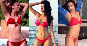 bigg boss hot contestant red bikini cleavage sexy body