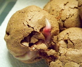 macaron choco explosé