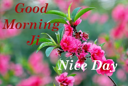 Good Morning,Sat Shri Akal Ji , Ram Ram Ji , Happy Sunday