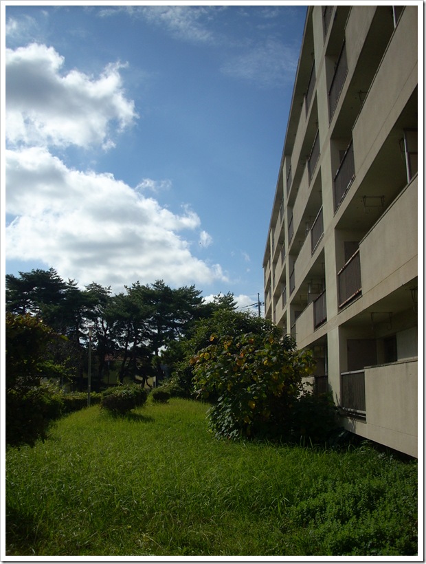 20111112_112509