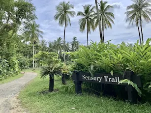 Sensory Trail in Ubin