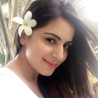 Biodata Shraddha Arya Terlengkap, Suami, Fakta, Foto, Hobi dan Banyak Lagi