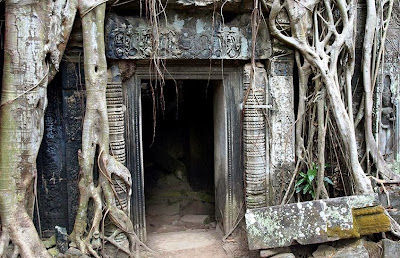 Tempat Wisata Bersejarah di Kamboja : Kuil Ta Prohm