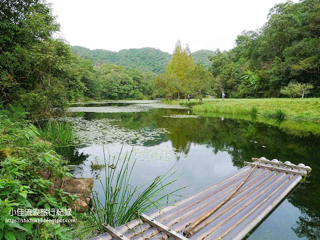 宜蘭景點｜福山植物園生態池，輕鬆漫步遺世仙境！