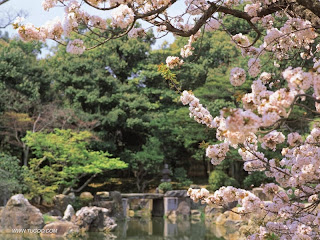 Awesome Natural Japanese Garden 2012 - 2100.