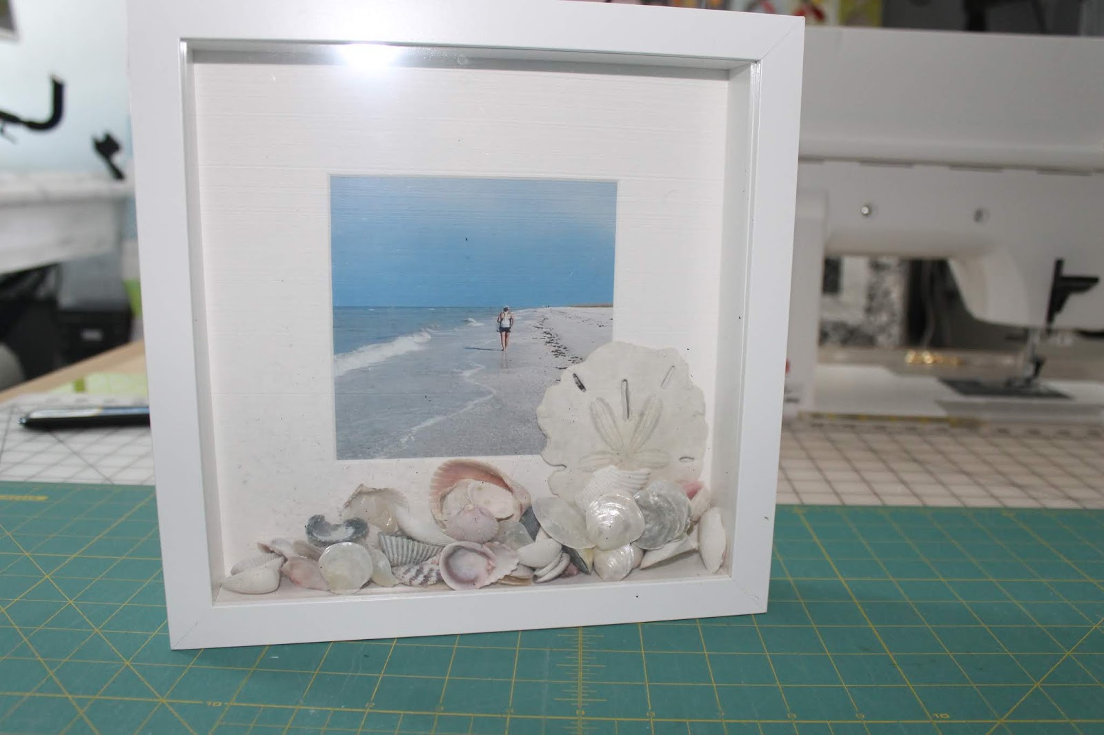 SunShine Sews: Sea Shells and a Shadow Box