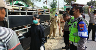 Antisipasi PMK, Dilakukan Penyekatan dan Pemeriksaan Terhadap Kendaraan Pengangkut Hewan Ternak di Sukoharjo