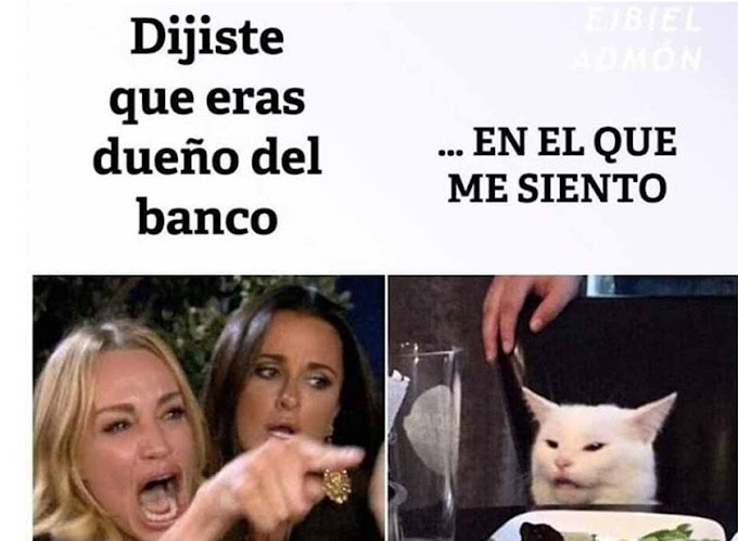 Algunos memes del gato