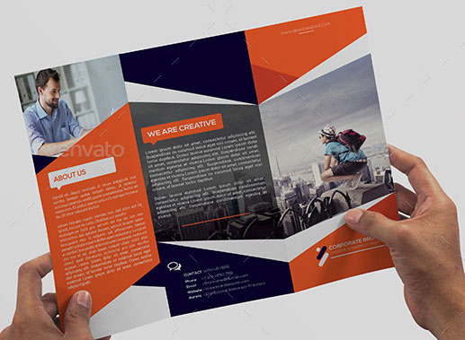 Tri Fold Brochure