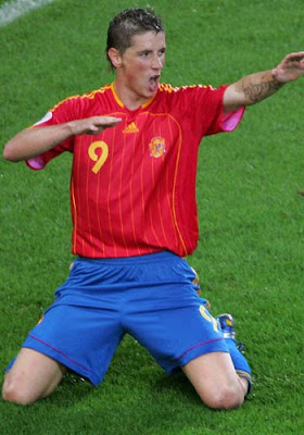 Fernando Torres Picture