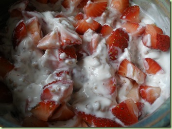 yogurt