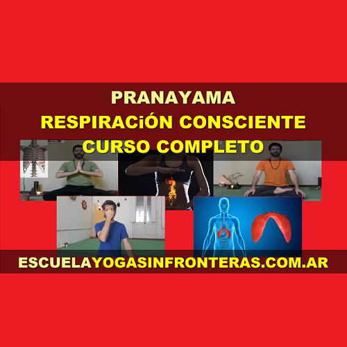 Pranayama ó Respiración consciente - Curso completo para todo público - Escuela Yoga sin Fronteras.
