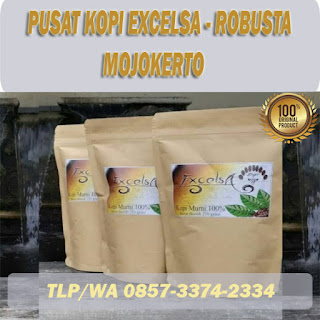 kopi excelsa murni di mojokerto