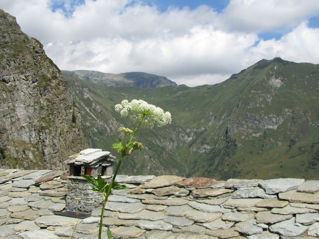 Panorama Alpi Occidentali