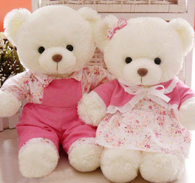 Teddy-Bear-wedding-lovers-doll