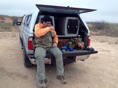 bird dogs and bird hunting