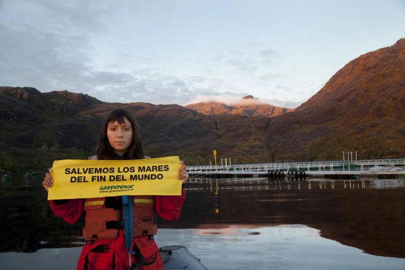 Dejan sin efecto Resolución de Calificación Ambiental de salmonera Leucotón