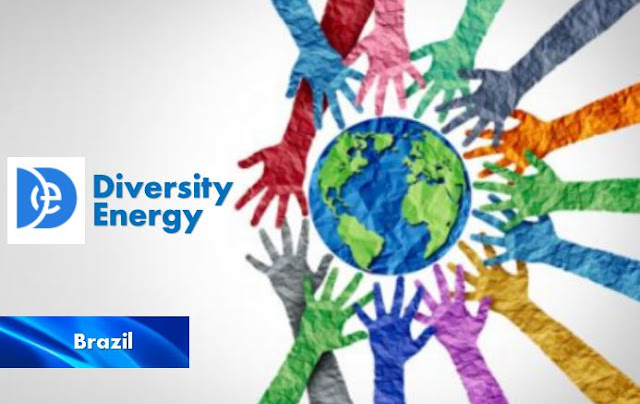 Diversity and inclusion in Brazil renewable energy sector
