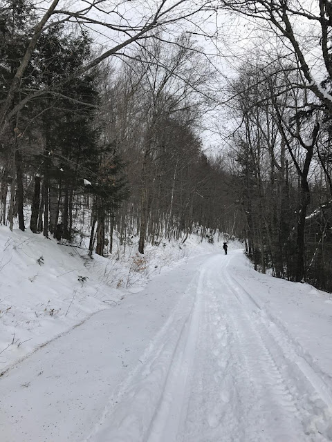 A mid December bushwhack attempt of a back-country crag known as The Captain, deeply nestled between South Hancock, Mount Carrigain, and Sawyer River.