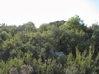 TOT TRAVESSANT LA SERRA DEL MONTMELL (De Mas d'en Bosc al Coll d'Arca), Cim del Puig del Migdia a la Serra del Montmell