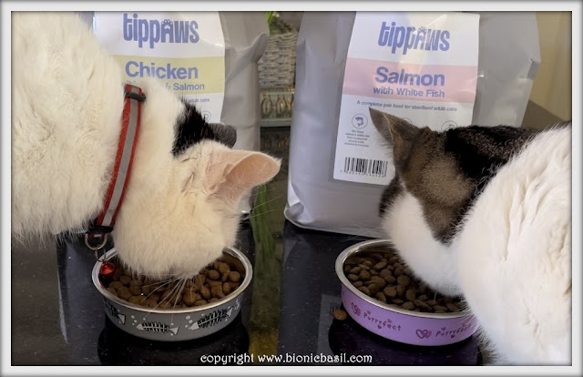 What's In The Box ©BionicBasil® Tippaws Dry Cat Food - Smooch and Melvyn Nomming