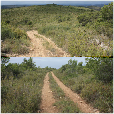 ALBINYANA - ERMITA SANT ANTONI - PUIG DE SANT ANTONI, camí de la plana Els Fornassos