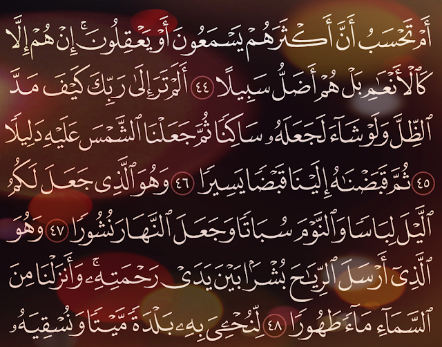 شرح وتفسير سورة الفرقان surah-Al-Furqan ( من الآية 44 إلى الاية 55 )