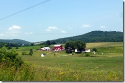 NY Dairy